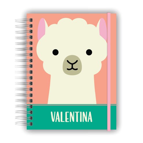 Caderno de Desenho Macaco SKIP HOP - Personalizado