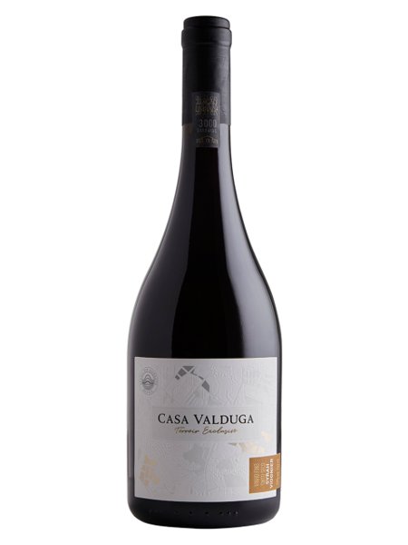 vinho-casa-valduga-terroir-exclusivo-shiraz-viognier-750-ml