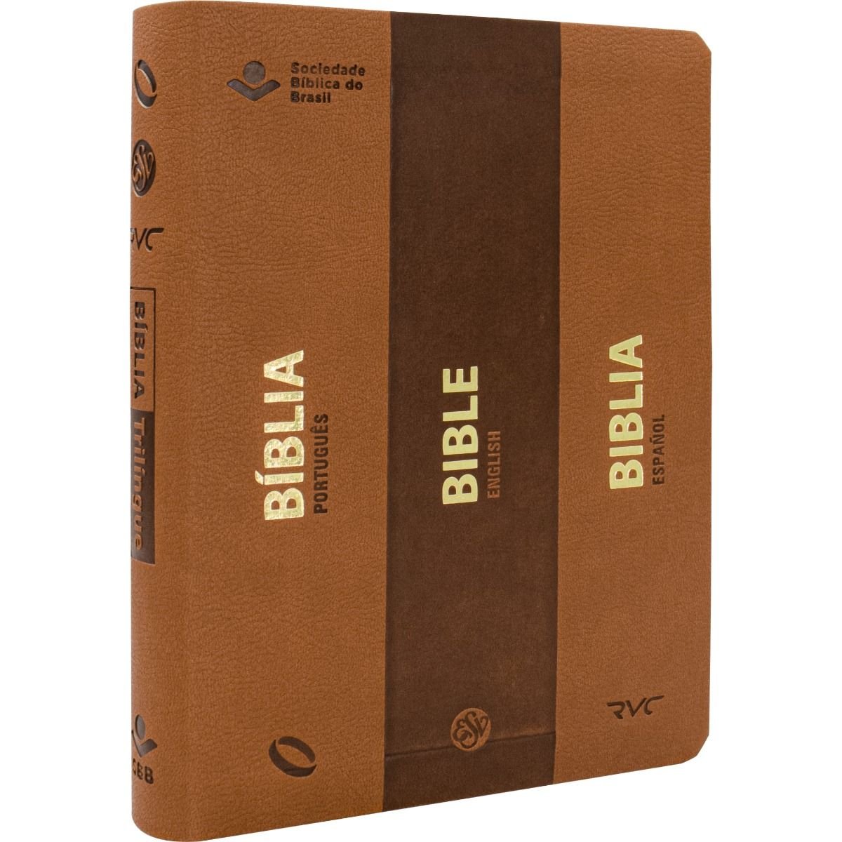 Biblia Mude o Brasil e Japão pela Bíblia - 洋書