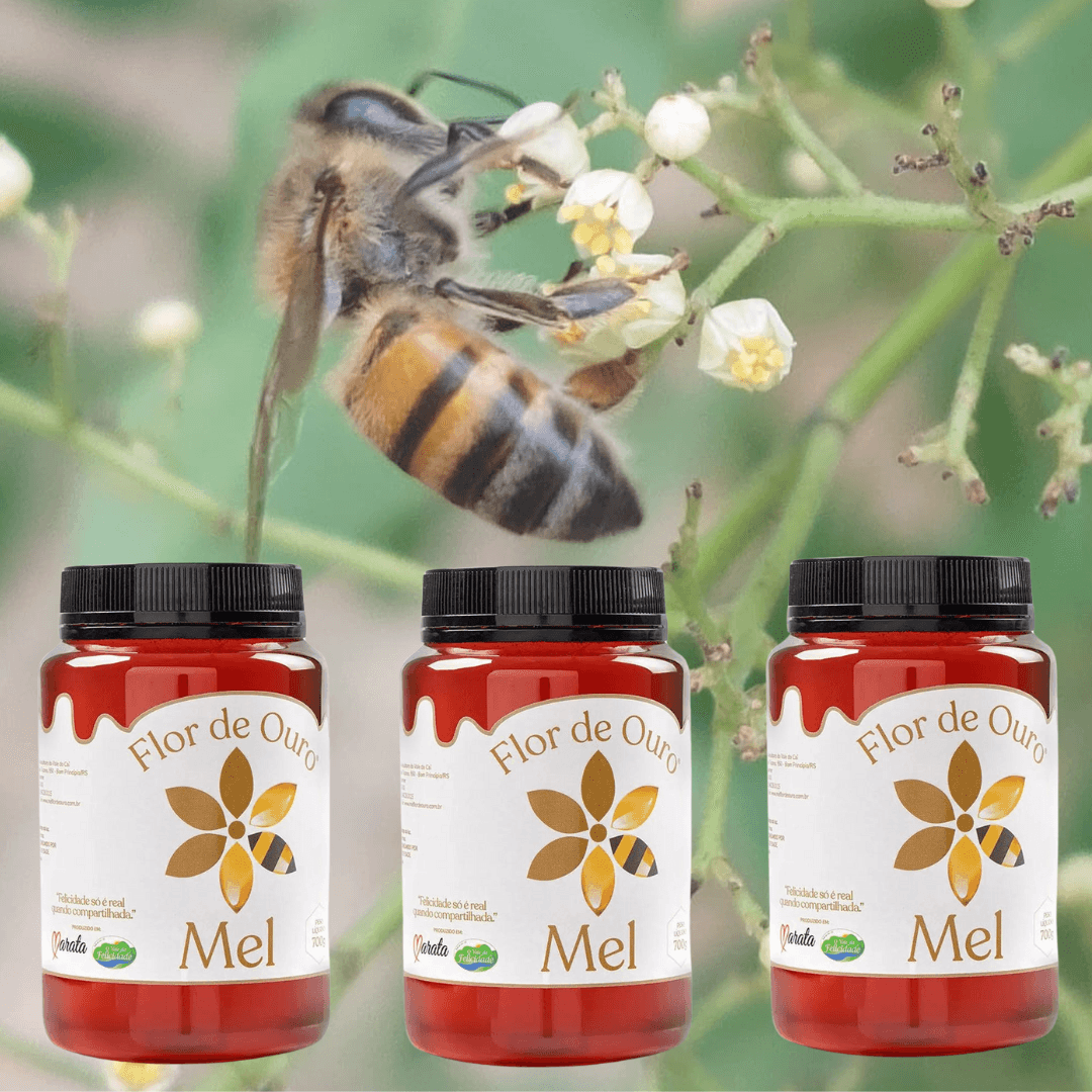 trio-pimenta-700.png?v=