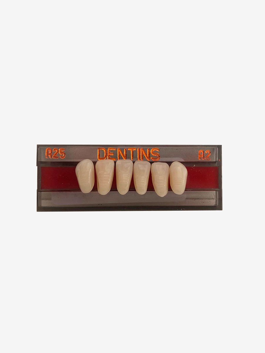 Jogos de dentes Anterior Inferior A25 A2 Dentins Frantins