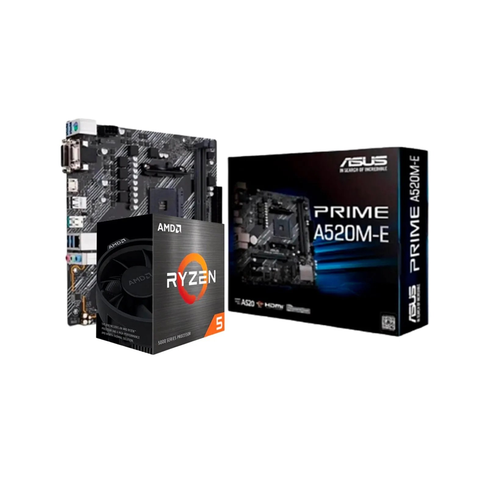 Kit Upgrade AMD Ryzen 5500 Placa Mãe Asus Prime A520M-E DDR4  Alligator Shop