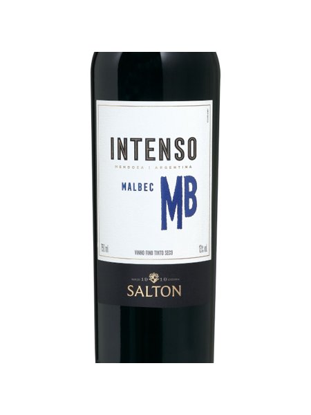 Vinho Malbec Intenso Salton 750ml - Caixa 6