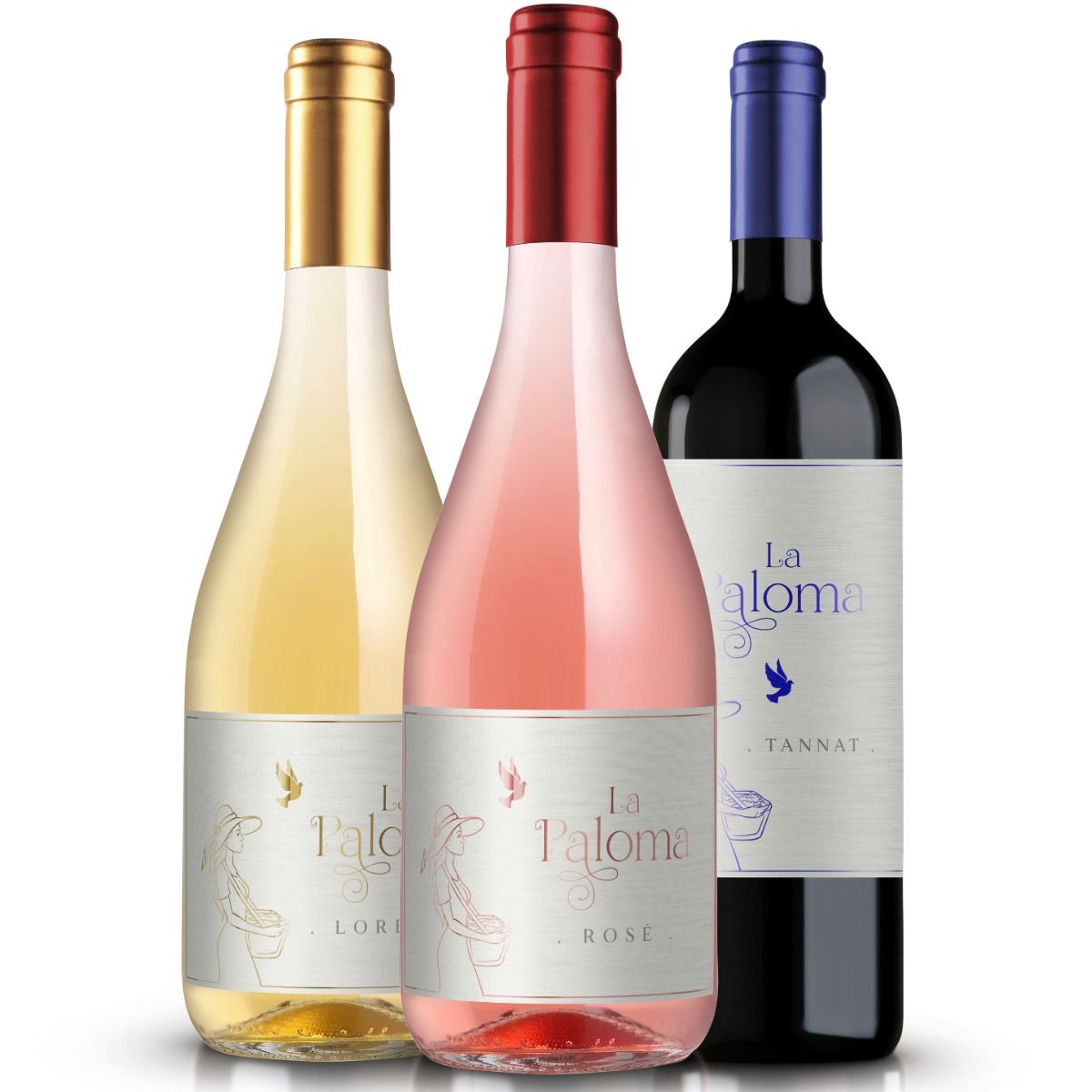 Seleção Buffon - Kit Vinhos La Paloma | Adega R2