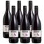 Vinho Pinot Noir Intenso Salton 750ml - Caixa 6