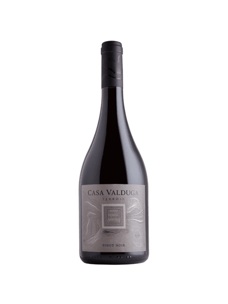 Vinho Pinot Noir Terroir Casa Valduga