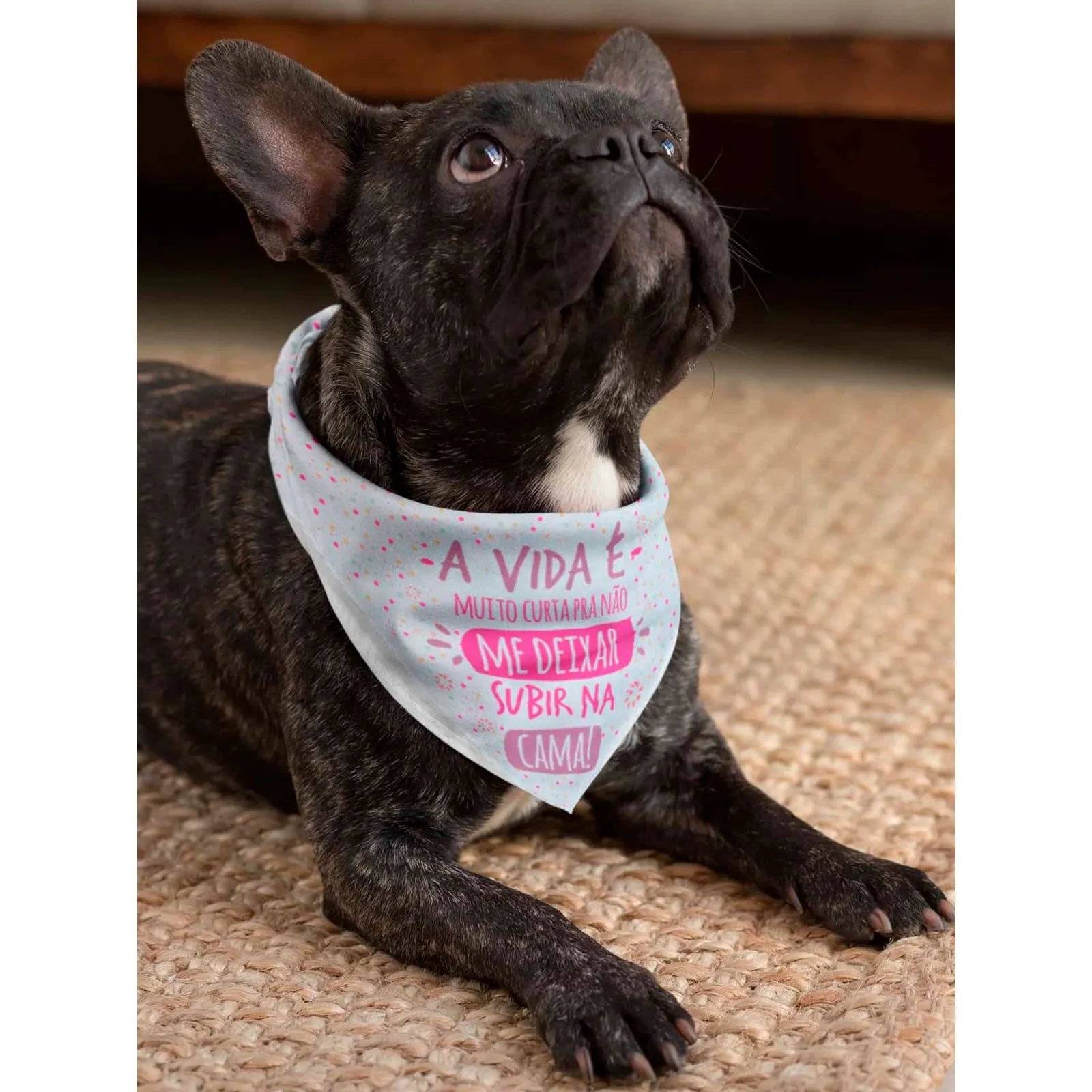 Promovido A Irmão Mais Velho Cachorro Bandana Para Cães e Gatos Promovido a Irmão Mais Velho | Pot Pet