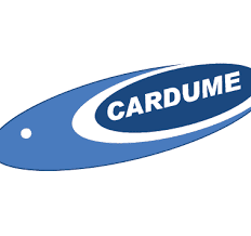 Cardume Adventure