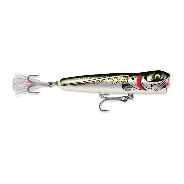 STORM Chug Bug CBS08 Popper Lure