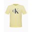 Camiseta Calvin Klein Jeans Infantil CK Amarelo Tinto