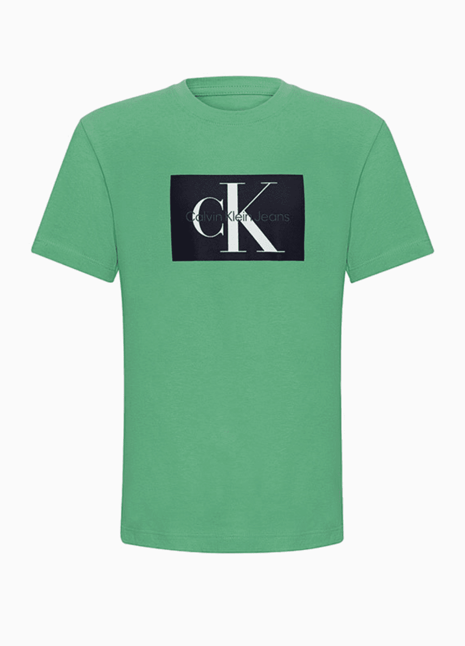 Camiseta Calvin Klein Jeans Infantil Verde Menta Quadro-Preto