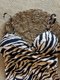 maio-transpassado-zebra-new-beach-3