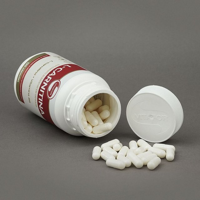 L Carnitina - Vitafor (120 caps)
