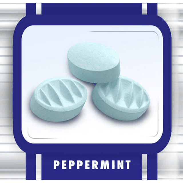 Altoids Arctic Peppermint - Pastilhas Sabor Menta - Importado dos Estados Unidos * Sugar Free*