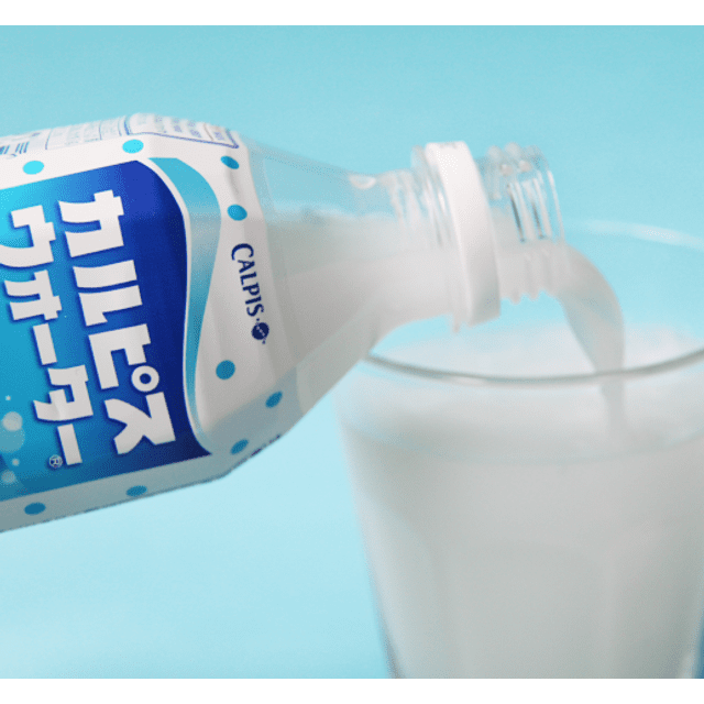 CALPIS Bebida Importada do Japão Garrafa 500ml Karamell Store