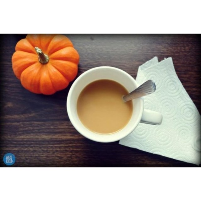 10x Mini Cups Coffee Mate Pumpkin Spice - Essência para Café