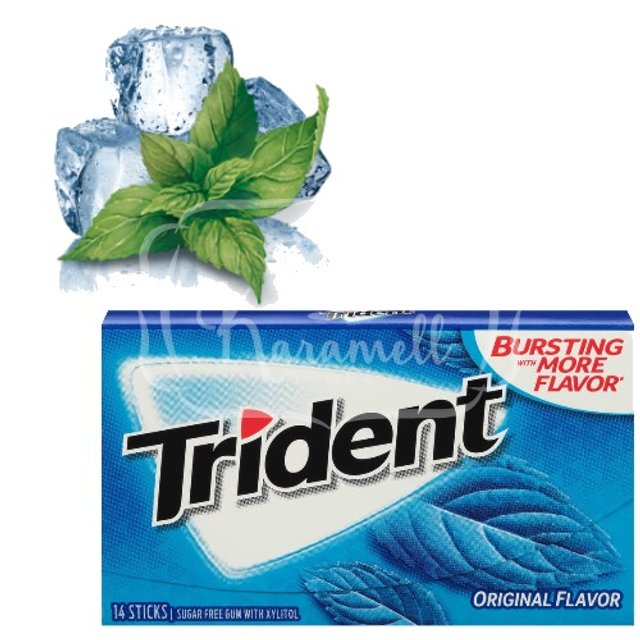 Chicletes Trident Original Flavor Sugar Free - ATACADO 12x - EUA