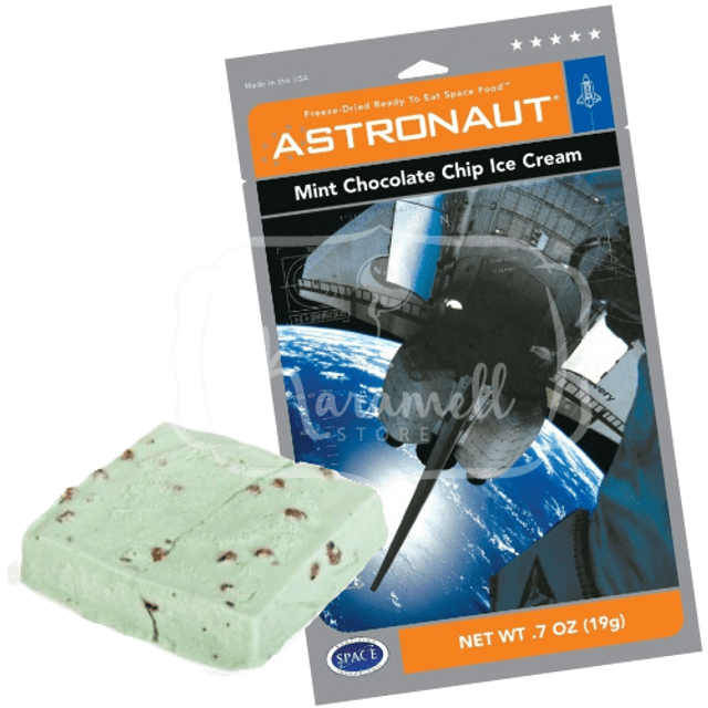 Sorvete de Astronauta - Mint Chocolate Chip Ice Cream - Importado