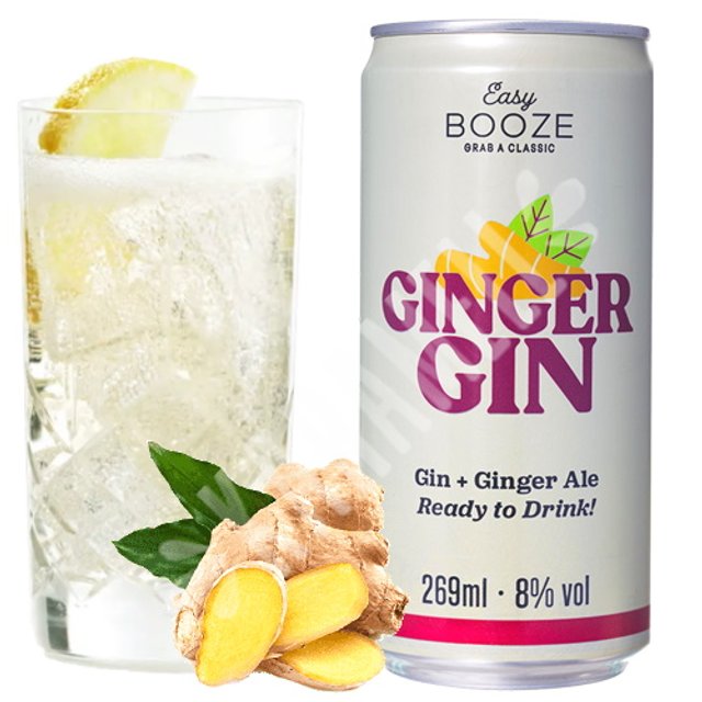 Bebida Drink Gin Ginger Ale - Easy Booze 
