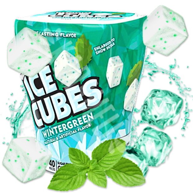 Chiclete Wintergreen Cubes Sugar Free Ice Breakers Importado EUA