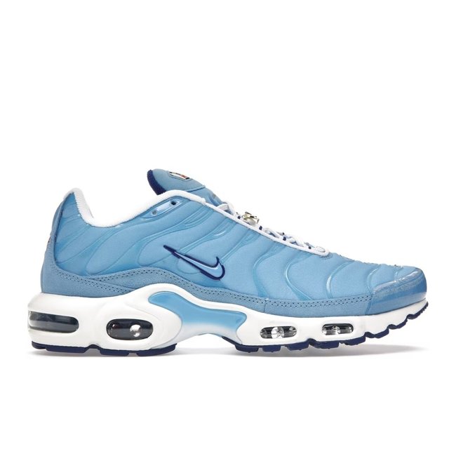 Nike Air Max Plus DM0032 100 OVERKILL | ubicaciondepersonas.cdmx.gob.mx