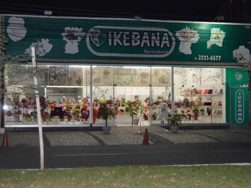 ikebana-maria-quiteria-feira