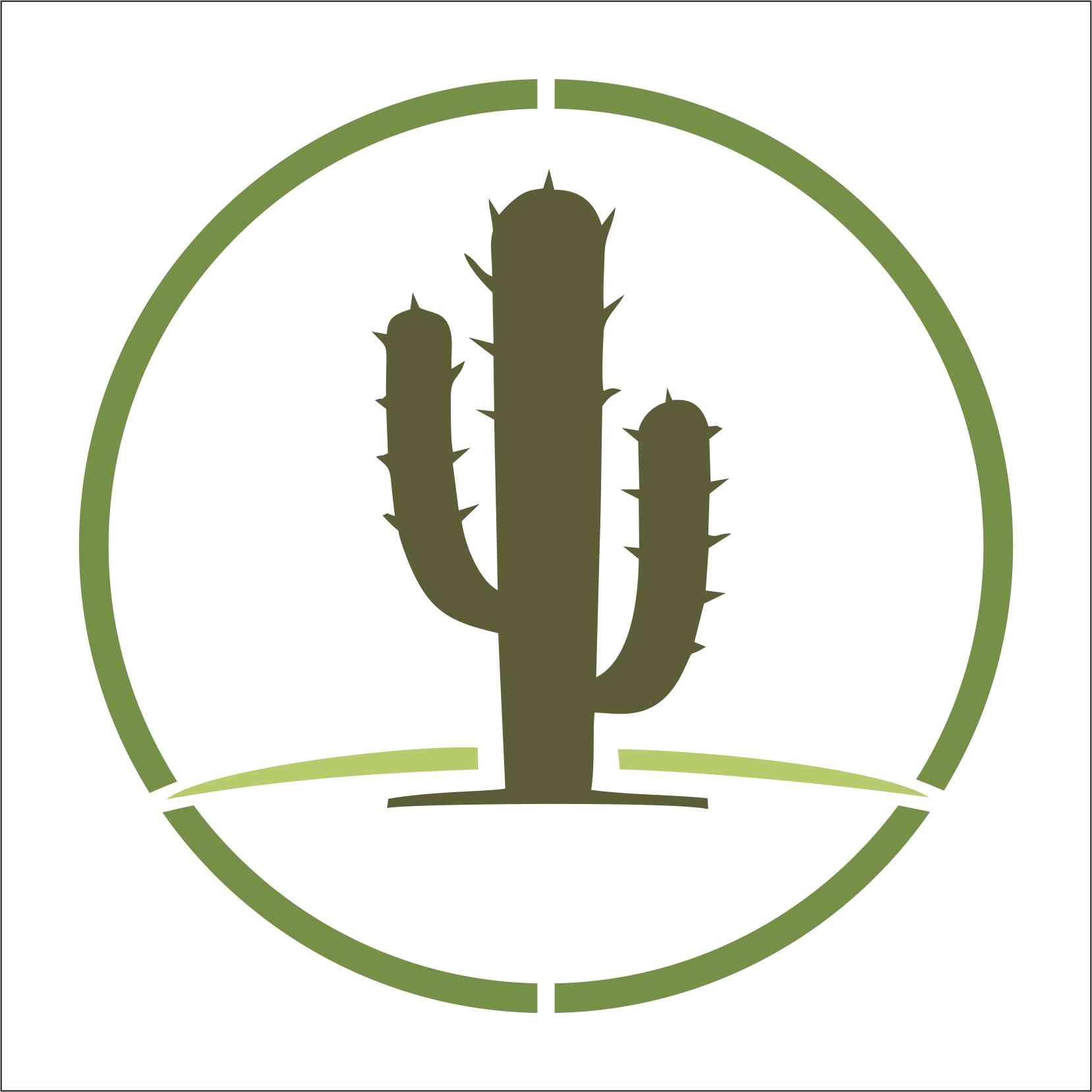 Stencil 14x14 ST5641 CACTO NO DESERTO | Benditas Criações