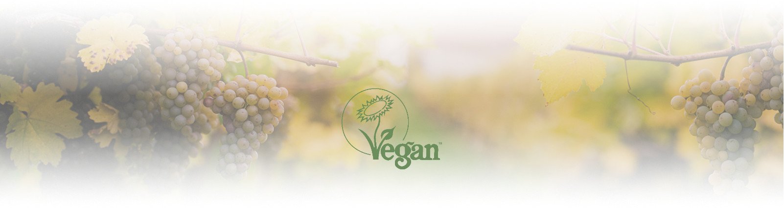 banner-vegano3