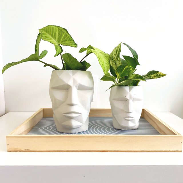 Cachepot Face em Cimento | Casa4 Store