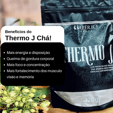 Thermo J Ch IMP RIO SA DE