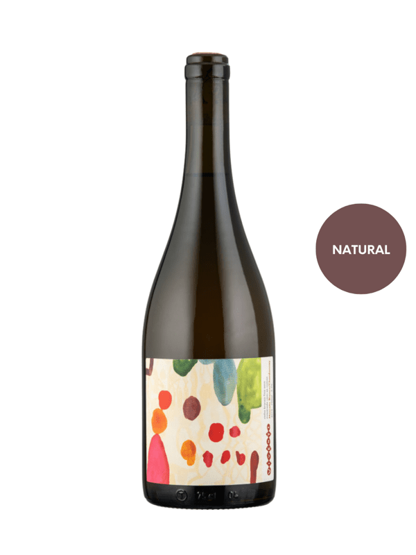 VINHO CHARDONNAY MOSCATO VIVENTE VinhoVivo