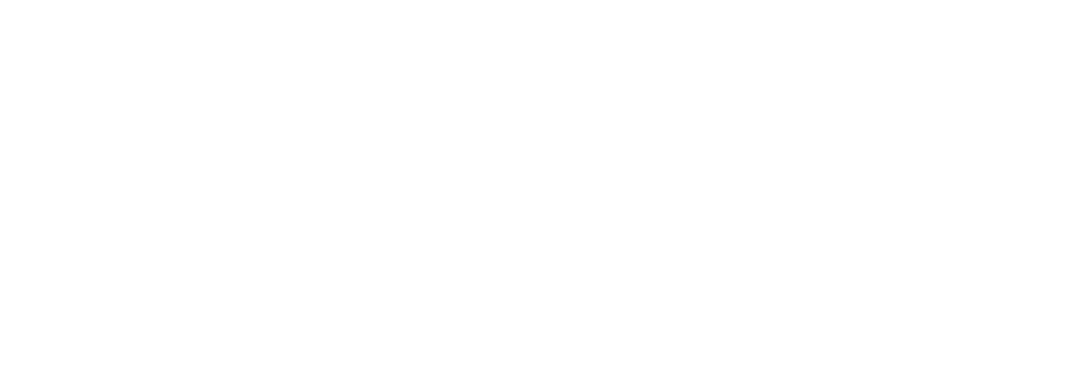 le20-logo-footer
