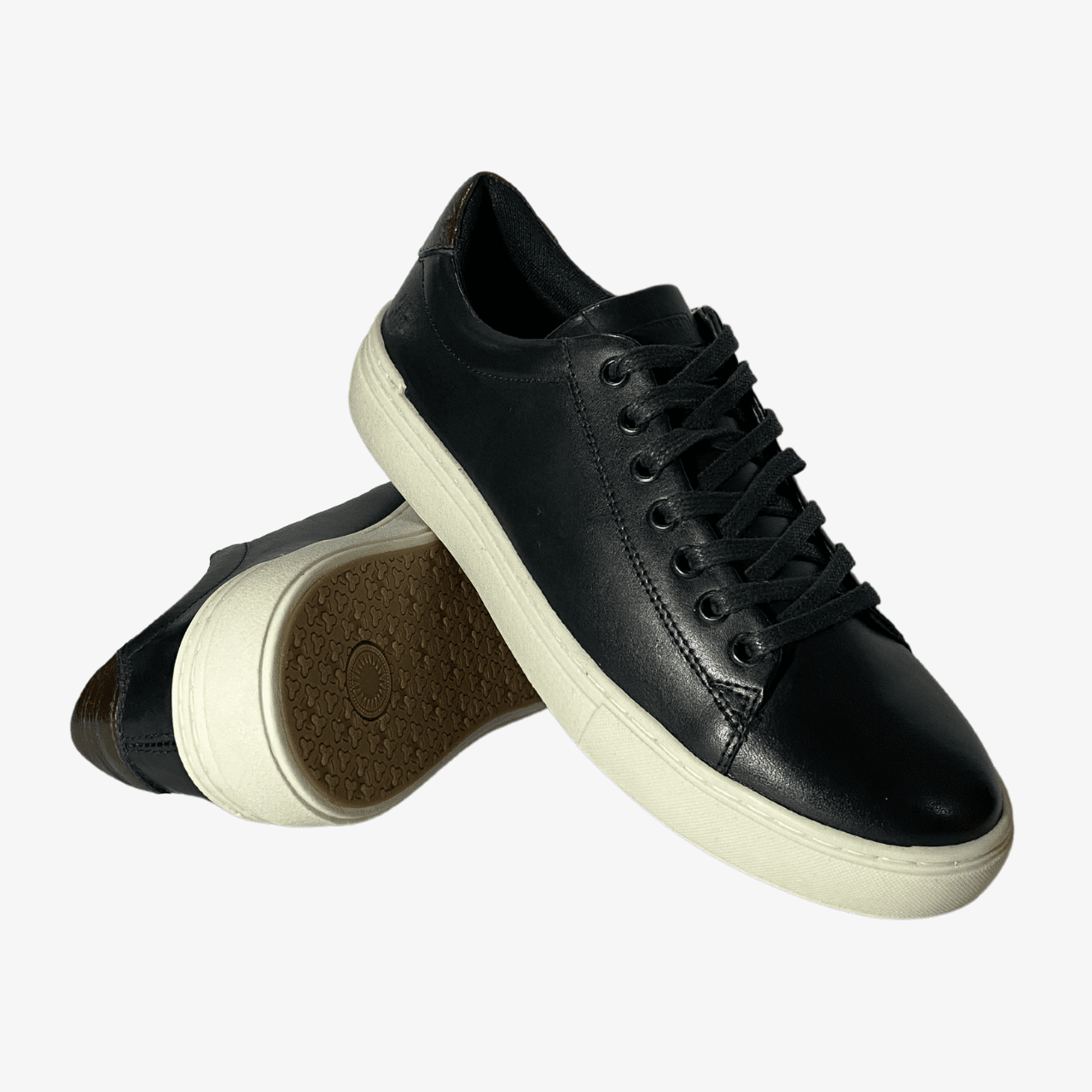 Sapatenis shelter 2025