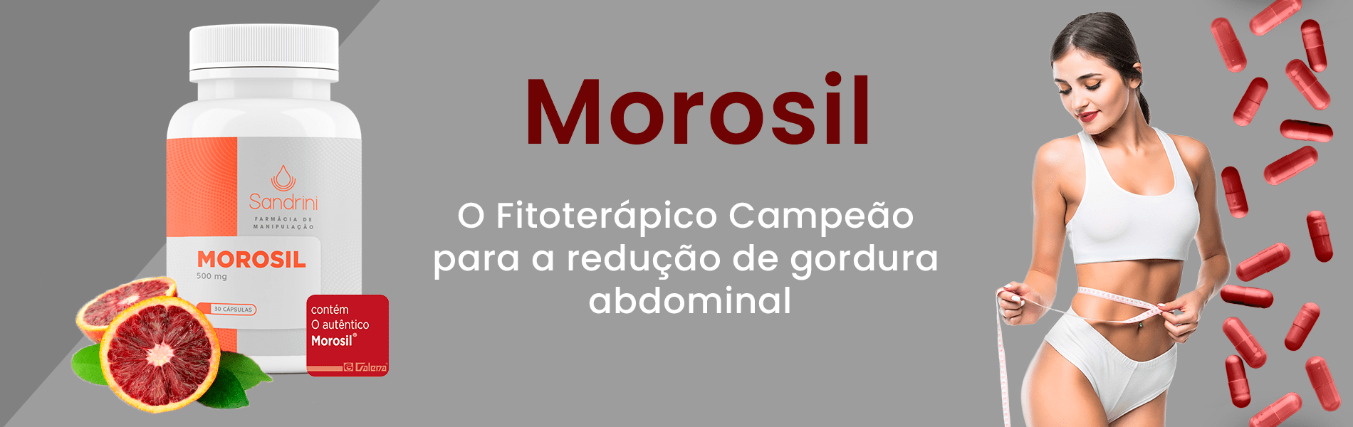 banner-morosil-1900x600-v03