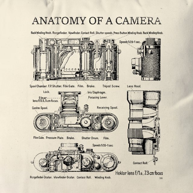 Almofada Anatomy Of Camera | Studio Geek | Studio Geek