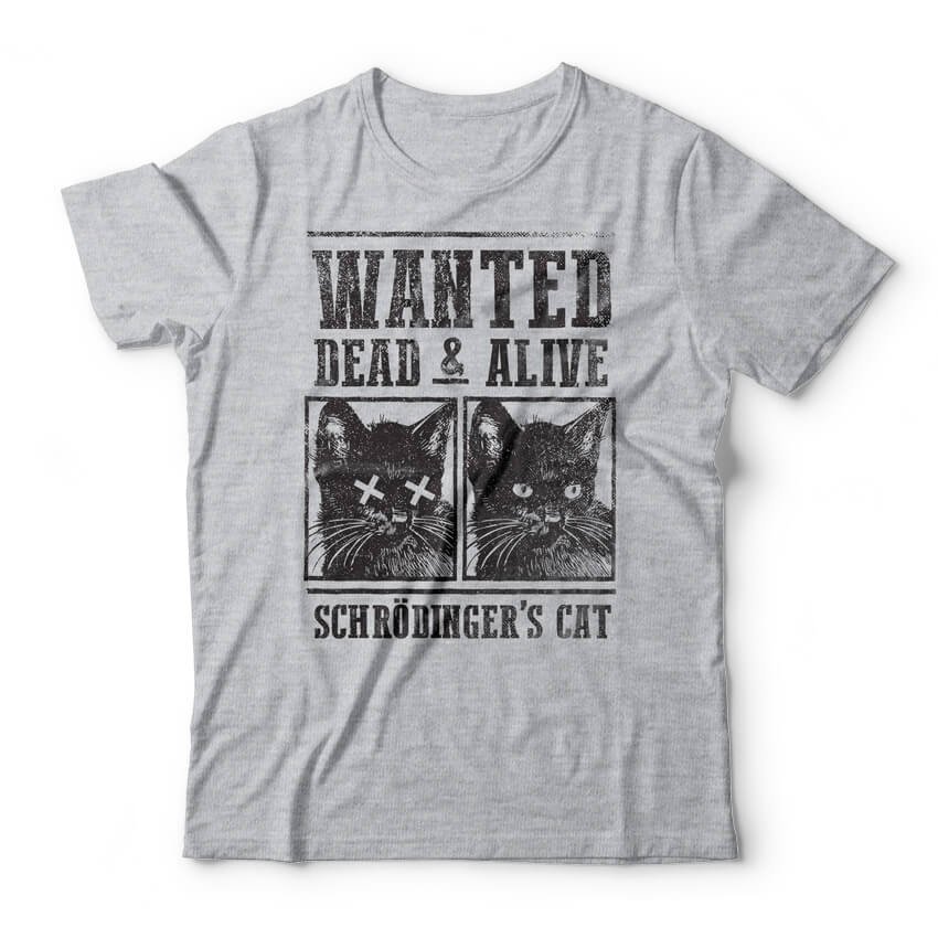 Camiseta Gato de Schrödinger – Põe uma blusa