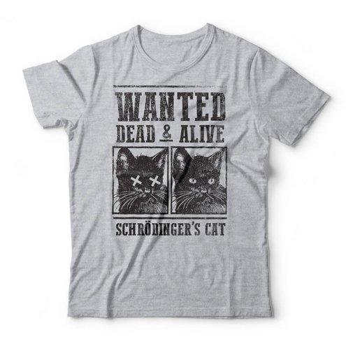 camiseta-schrodingers-cat-aberta