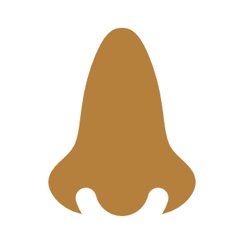 Olfato
