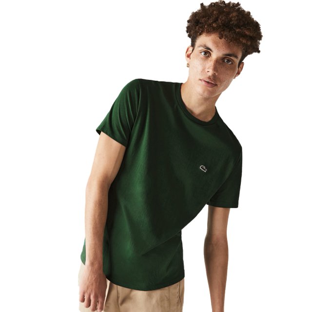 camiseta lacoste masculina verde