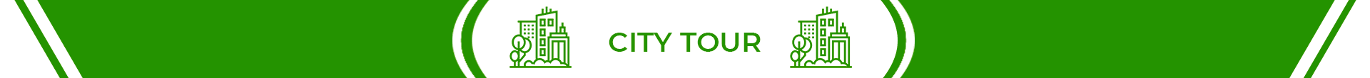 titulo-city-tour-rio-de-janeiro-1
