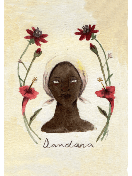 dandara-a5