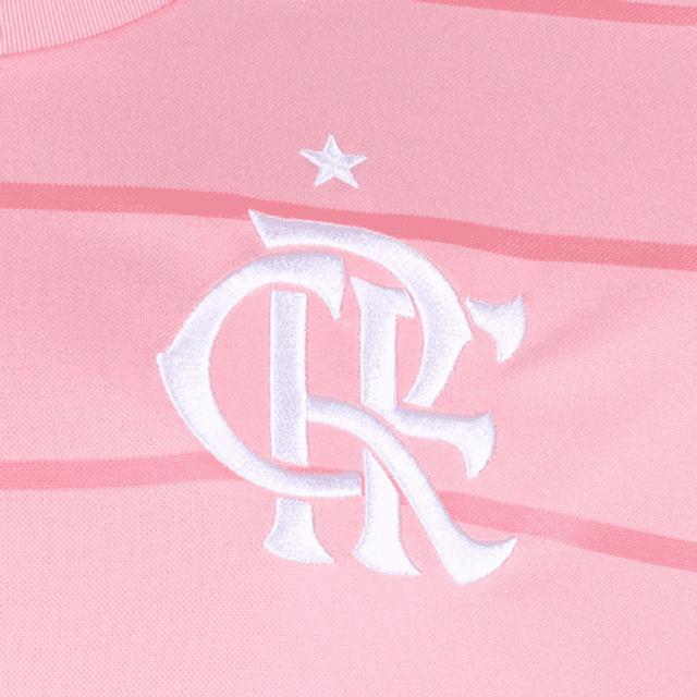 blusa flamengo rosa png