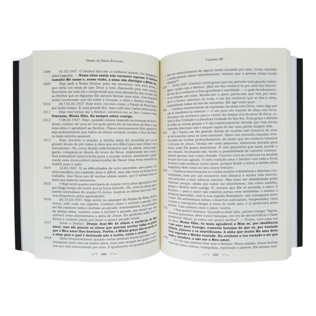 Livro Diário de Santa Faustina [capa flexível]