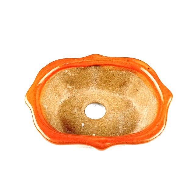 Vaso Bonsai Flor 10,5x07,5x03,5 cm Laranja 0427 Ideal Bonsai