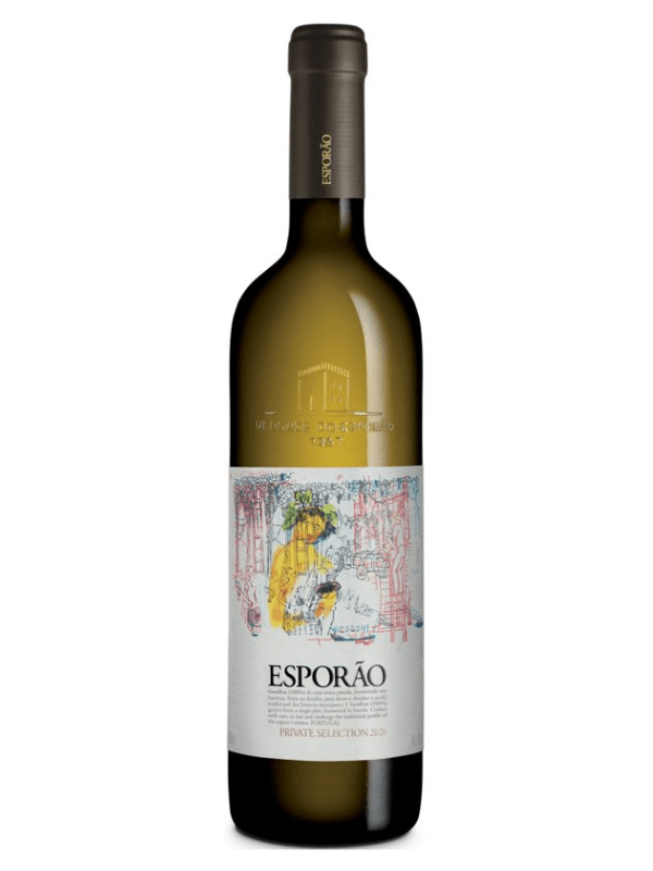 アガベチタノタsierra mixteca white h selection Picarana Branco - World Wine