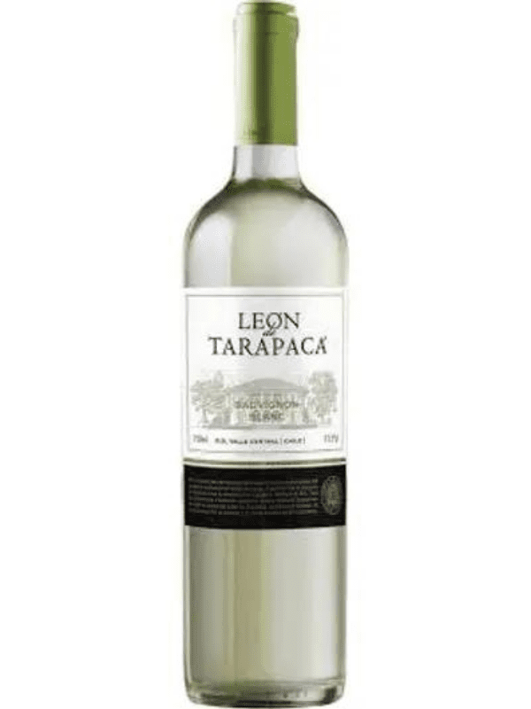 Vinho Leon De Tarapacá Sauvignon Blanc 750ml Sommelier 5188