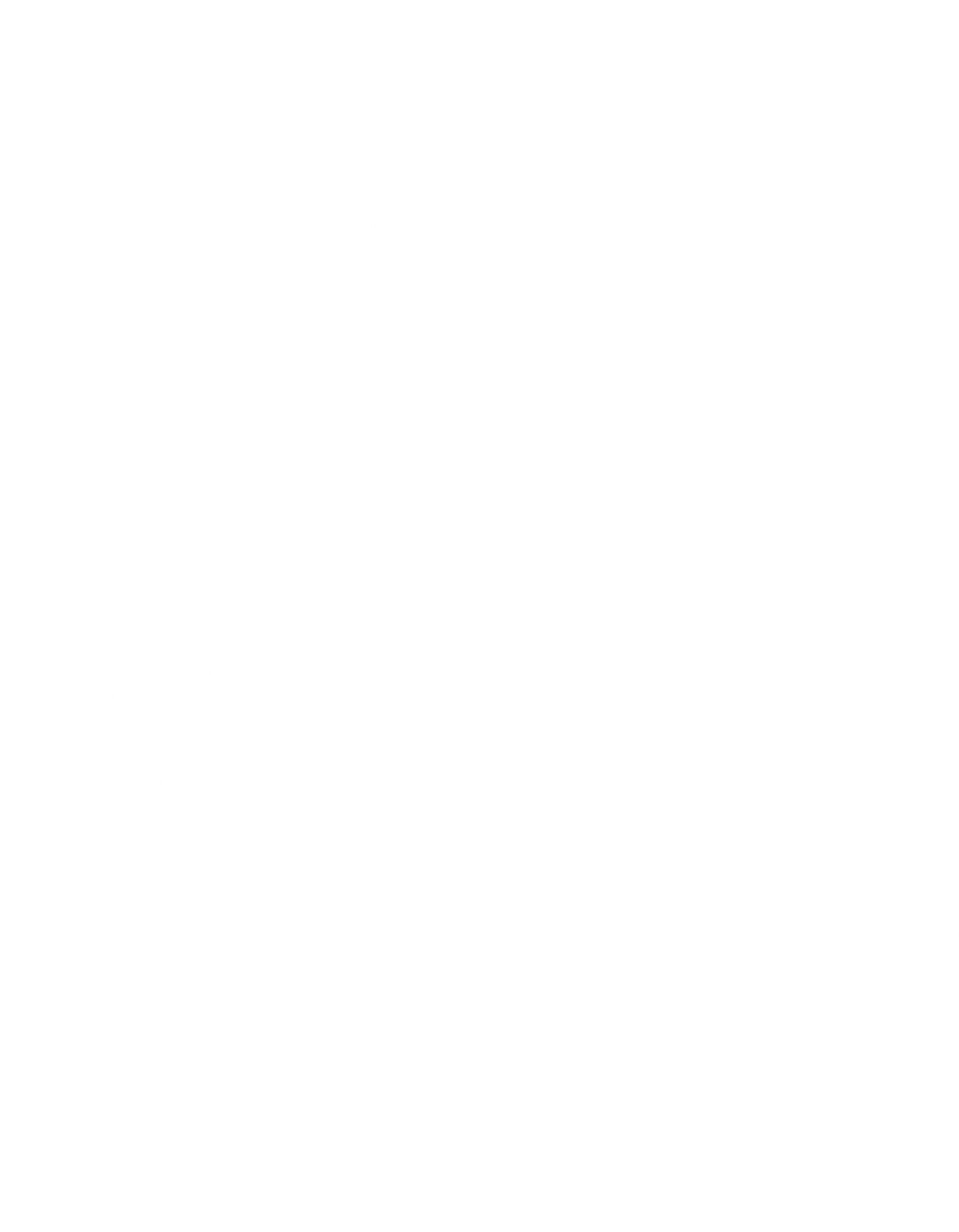 DMS DAYS MUSIC STORE dms-days-music-store