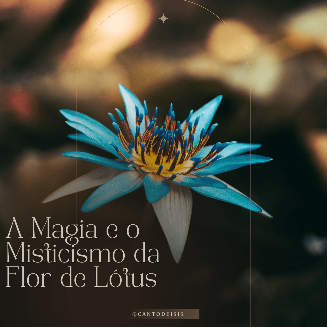 A Magia e o Misticismo da Flor de Lótus: Símbolos de Pureza, Beleza e ...