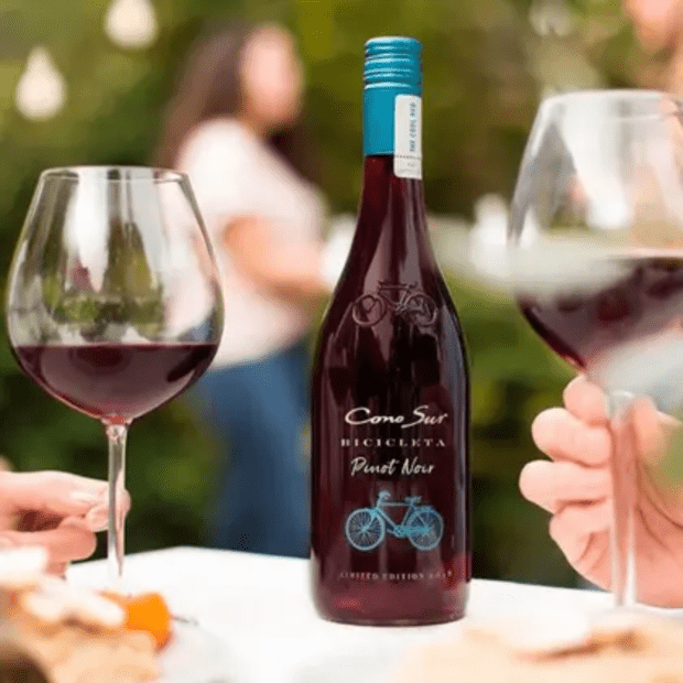 Vinho Bicicleta Reserva Pinot Noir Cono Sur | VidaVino | Vida Vino Vinho Bicicleta Reserva Pinot Noir Cono Sur | VidaVino | Vida Vino