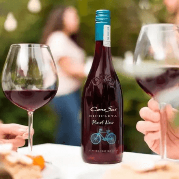Vinho Bicicleta Reserva Pinot Noir Cono Sur | VidaVino | Vida Vino